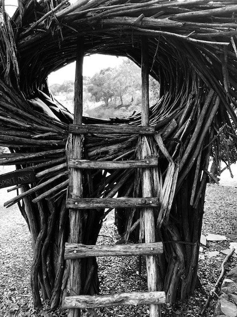 A black and white photo of a tree house made of branches.
