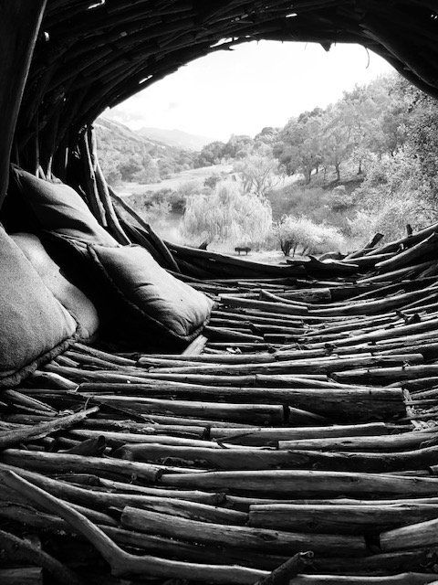 A black and white photo of a bed made of sticks