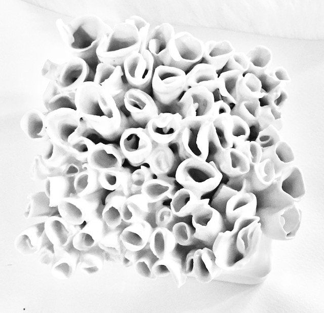 A black and white photo of a coral reef