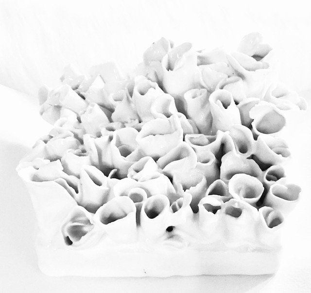 A black and white photo of a bunch of white flowers
