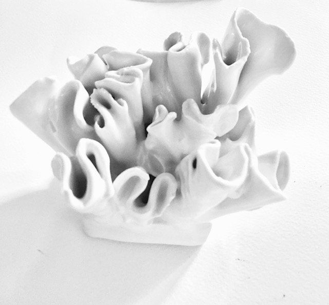 A white coral shaped object is sitting on a white surface