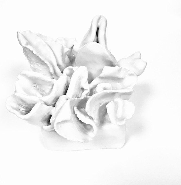 A white flower is sitting on a white surface.