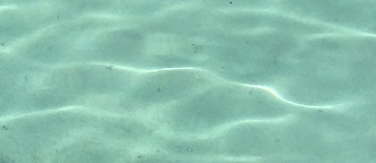 A close up of the surface of a body of water.