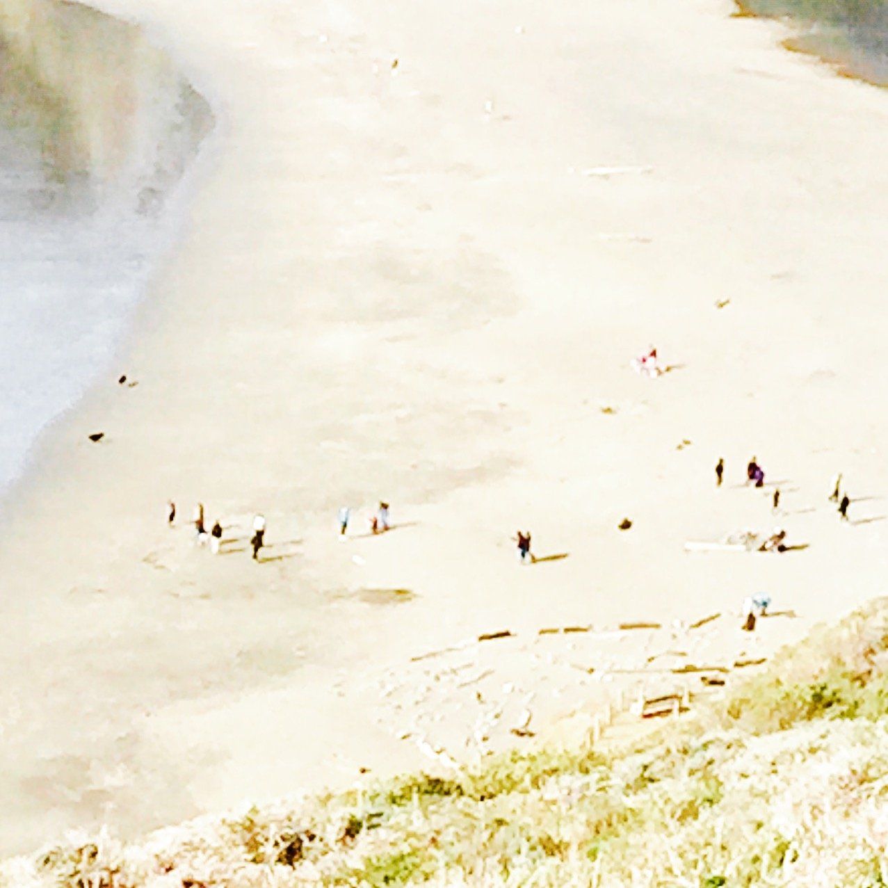 A group of people are walking on a sandy beach