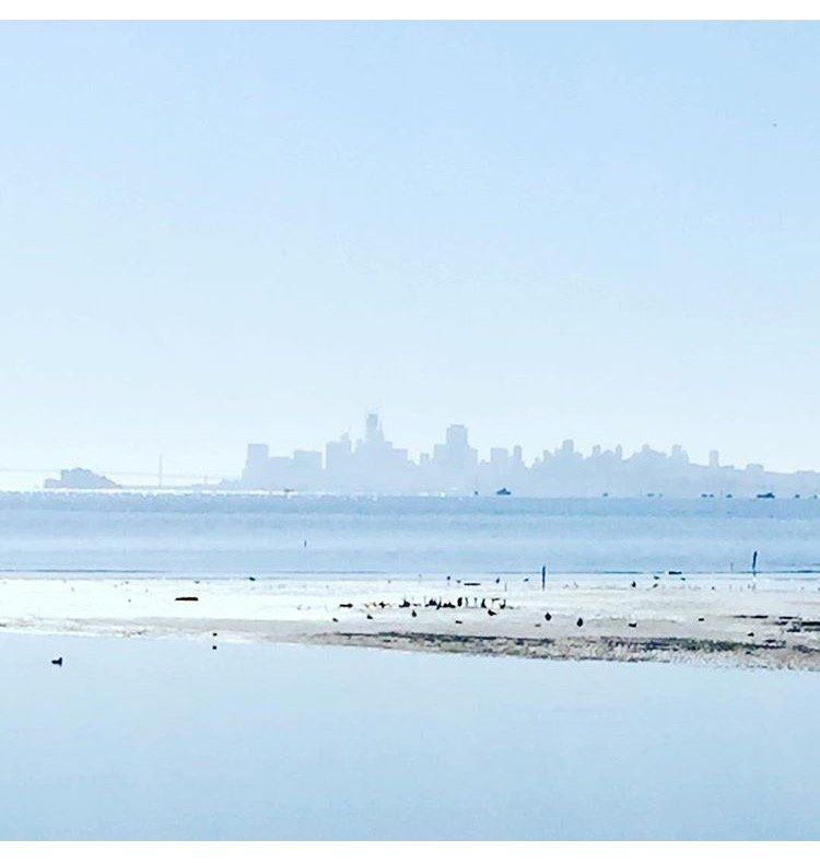 A city skyline is visible over a body of water.