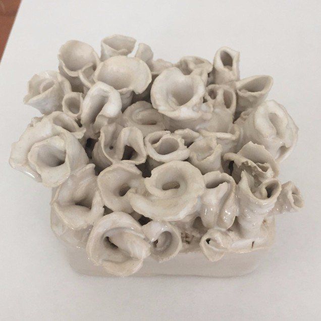 A vase filled with white flowers is sitting on a table