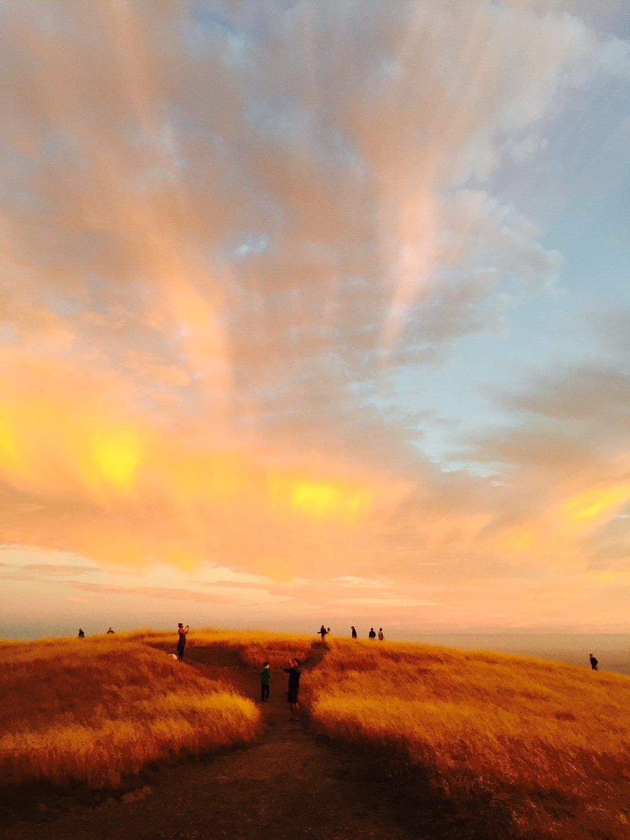 A group of people standing on top of a hill at sunset.