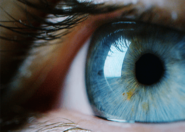 Primo piano di un occhio azzurro che riflette la luce. Ciglia e pelle visibili.