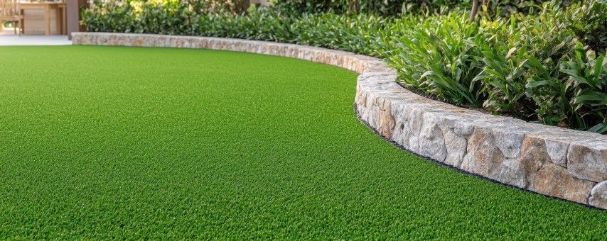 backyard turf