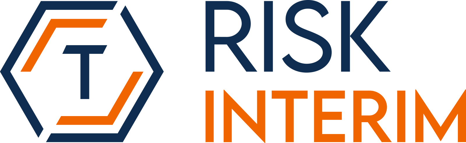 Logo Tiemersma Risk & Interim Management