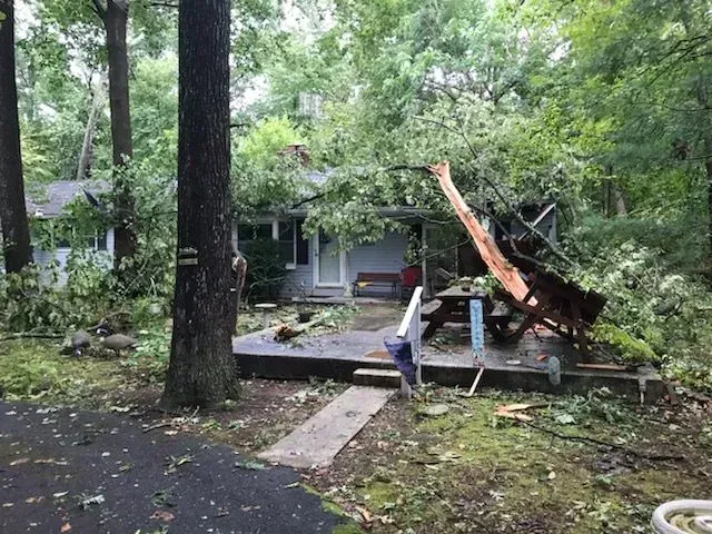 A house with a fallen tree in front of it