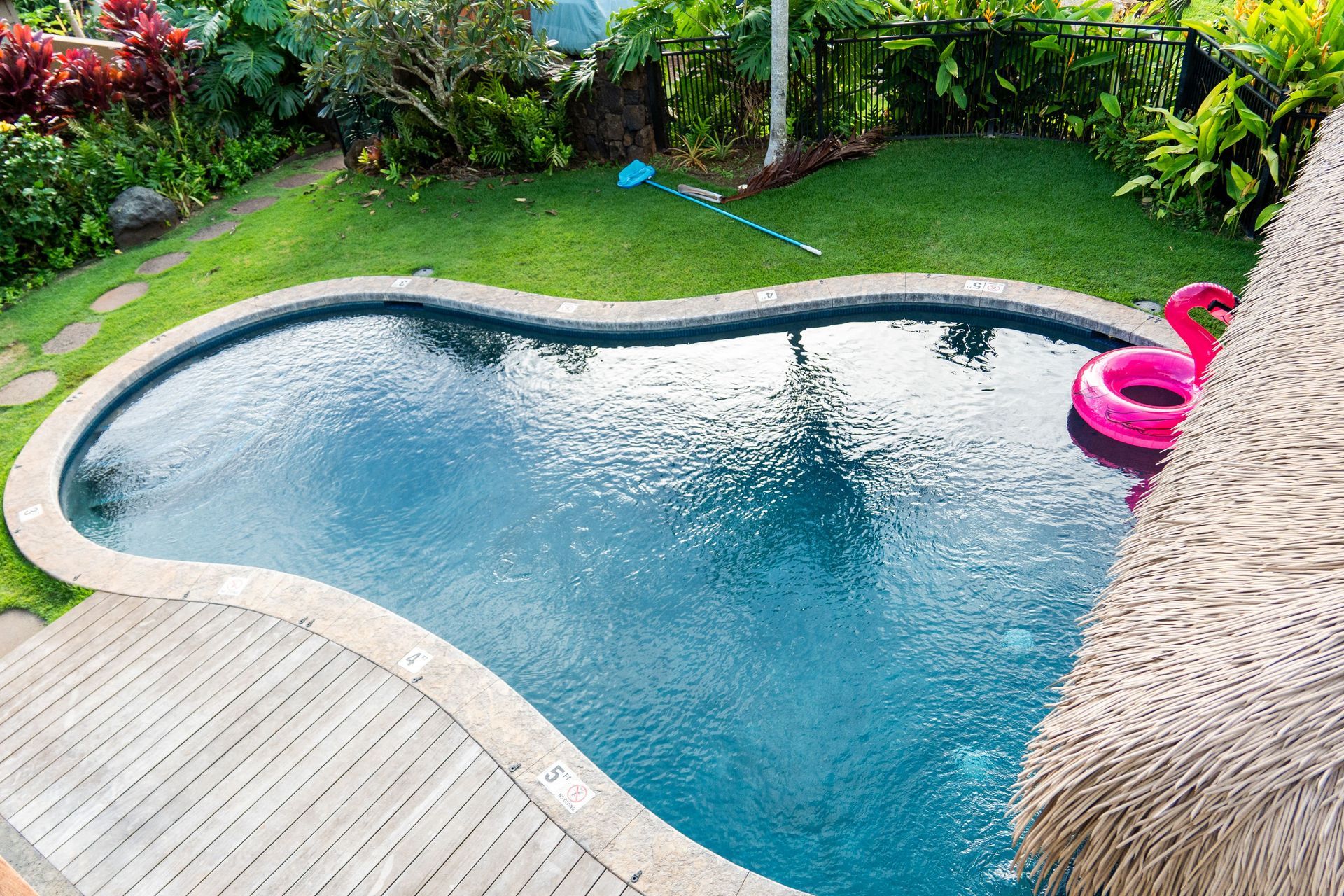 A luxury pool with an inflatable pink swan and surrounded by a tiki hut and greenery. A luxury pool with an inflatable pink swan and surrounded by a tiki hut and greenery.