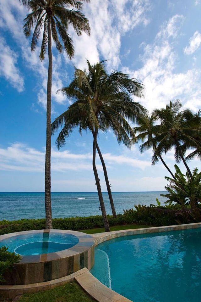 Tall Coconut Tree Near The Pool — Kailua, HI — Pacific Pool & Spa