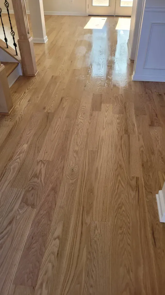 Light oak hardwood floor in a sunlit interior space, possibly a foyer, reflecting light.