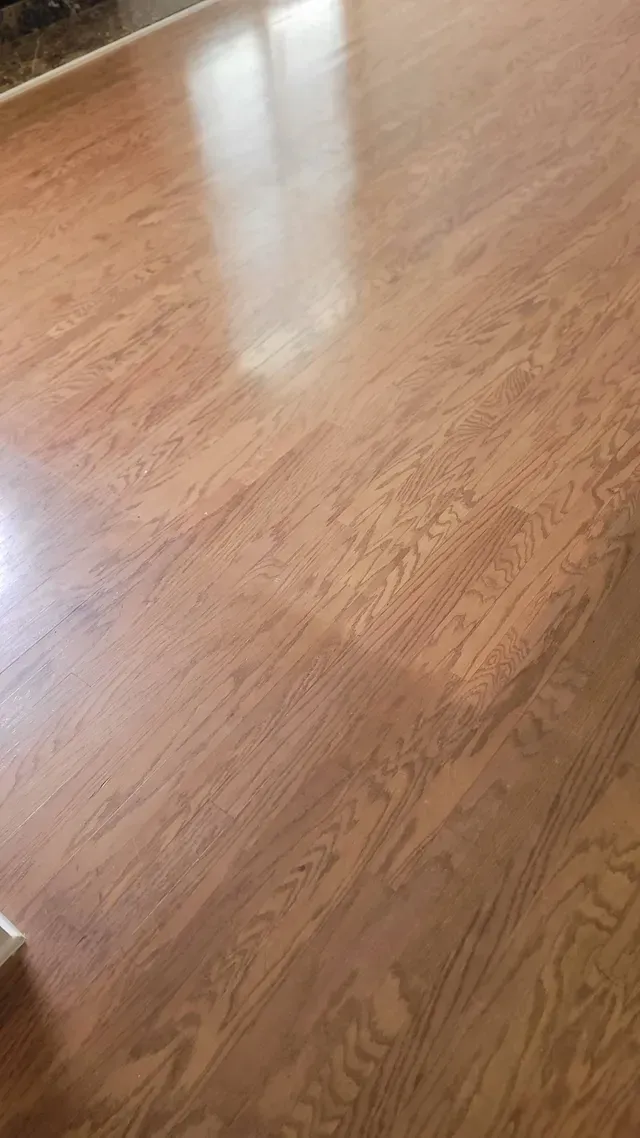 Brown hardwood floor with a glossy sheen, reflecting light from a window.