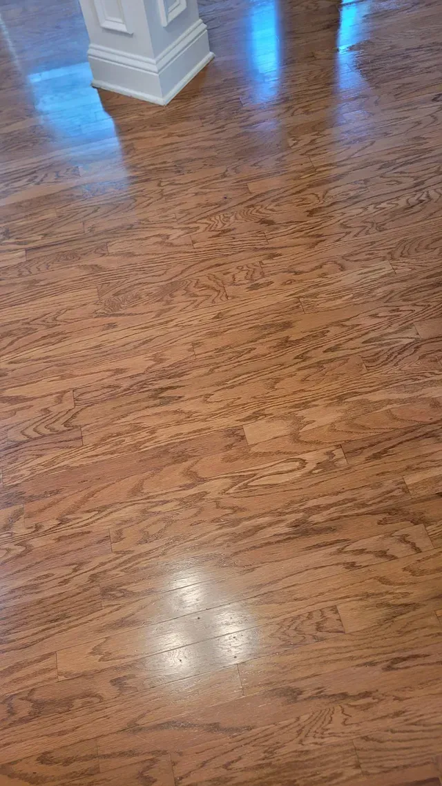 Wood flooring with a glossy finish reflecting light from a window and overhead.