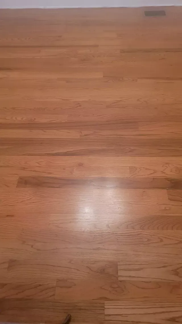 Light-colored hardwood floor with a shiny spot in the center.