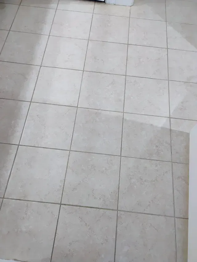 Cream-colored square tile flooring in a room. Sunlight illuminates the floor.