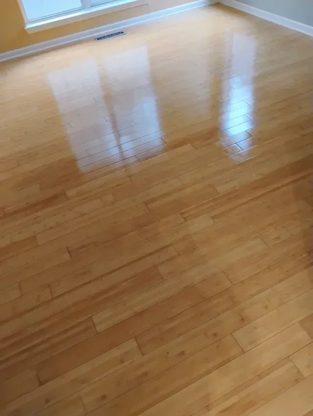 Shiny bamboo hardwood floor with reflections from a window.