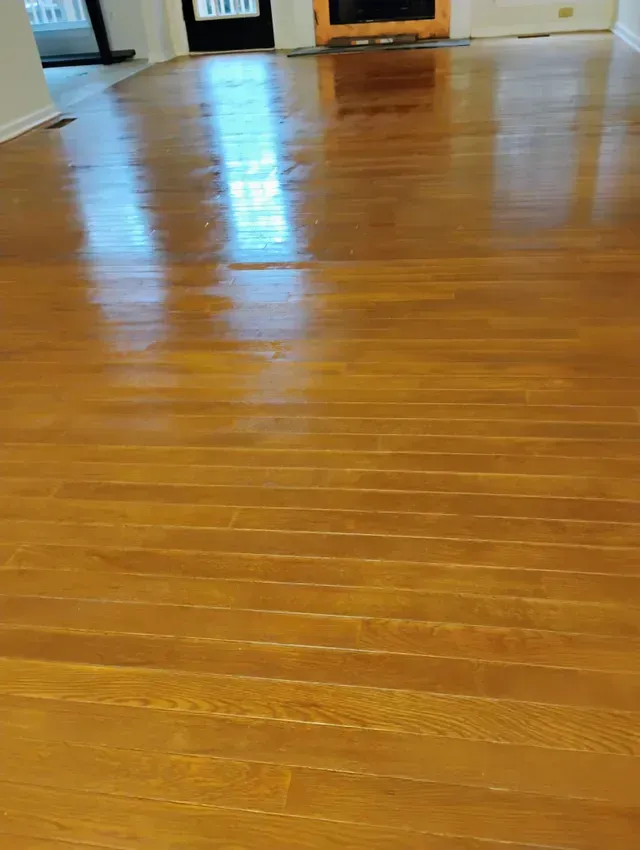 Shiny, golden hardwood floor reflecting natural light. The floorboards run horizontally.