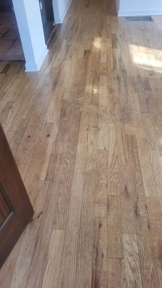 Wood floor in a room, warm tones. Some natural grain and imperfections are visible.