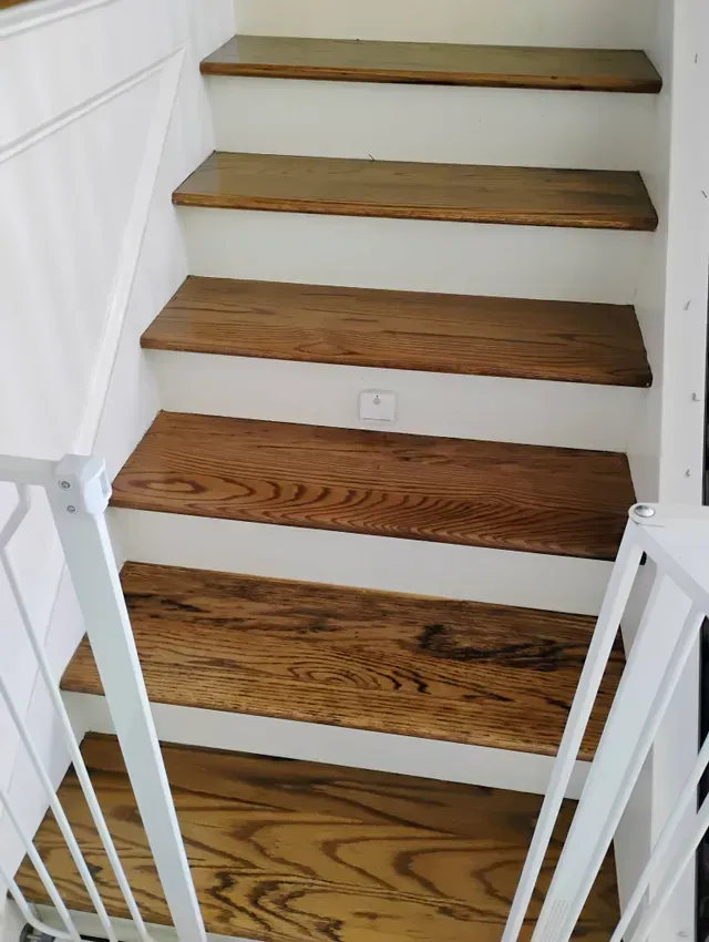 Wooden stairs with white risers and trim, a white safety gate.