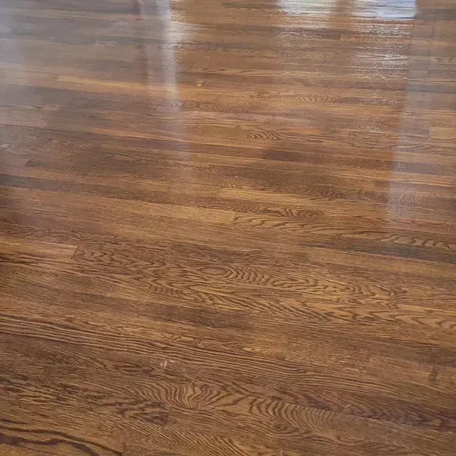 Close-up of shiny, dark wood floor with visible grain patterns.