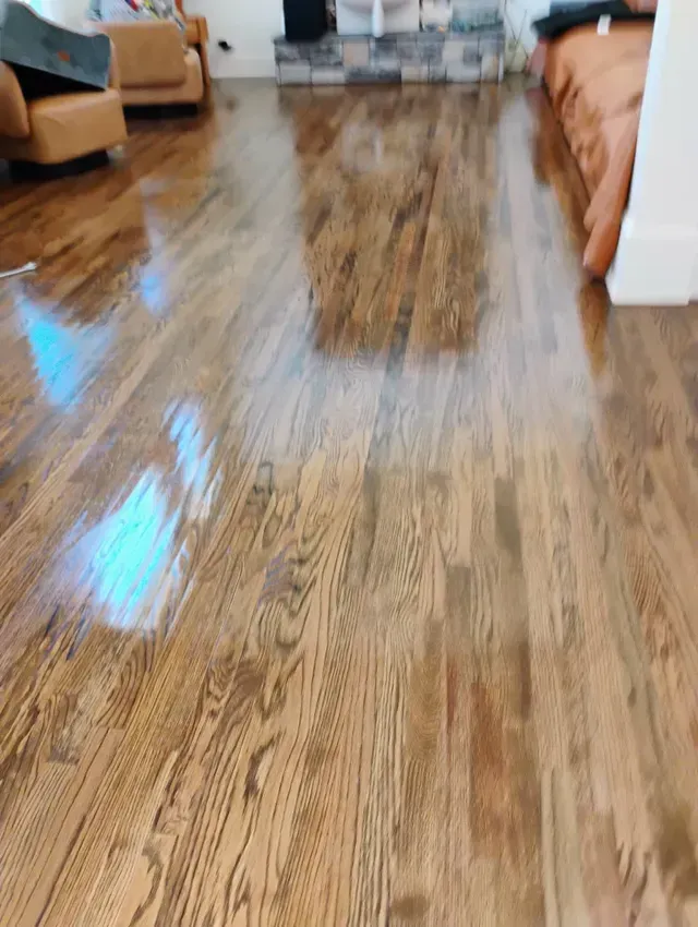 Shiny, polished wood floor reflecting light in a living room.