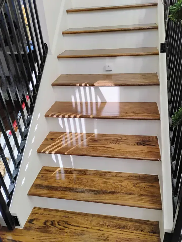Wooden stairs with white risers, black railing, bathed in sunlight.