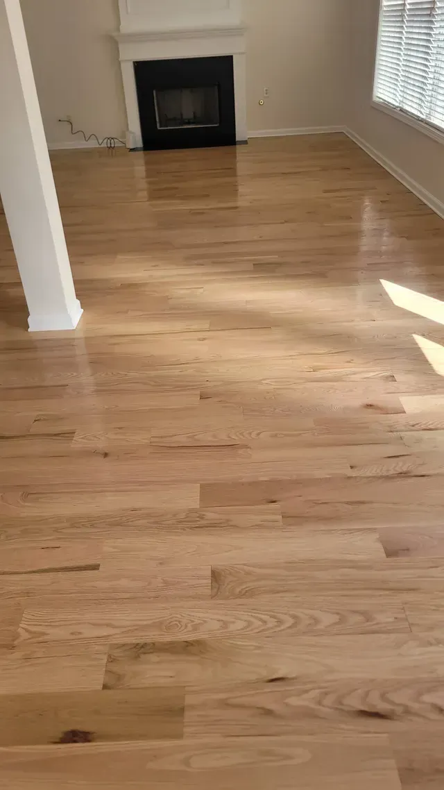Hardwood floors in a bright living room, with fireplace and sunlight.