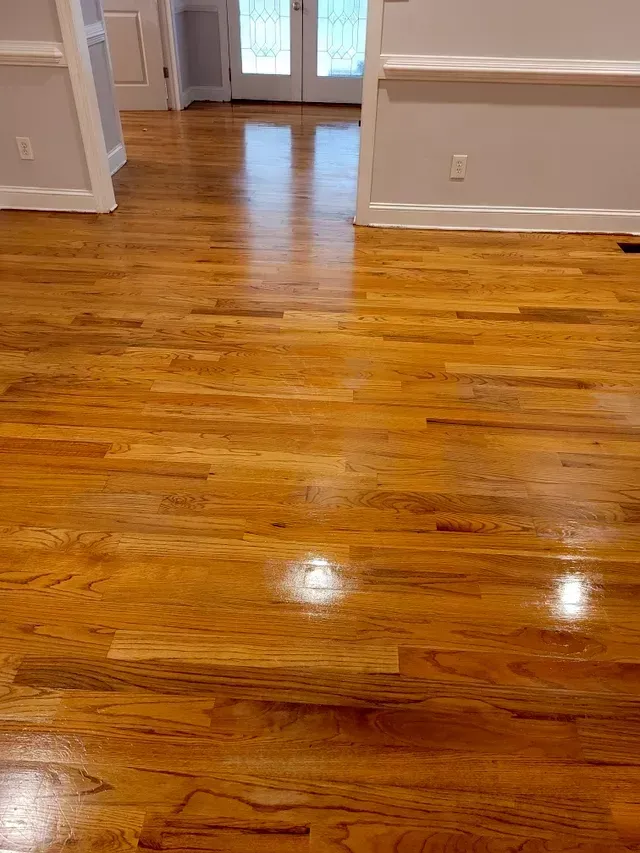 Hardwood floor with a glossy finish reflecting the light from French doors in the background.