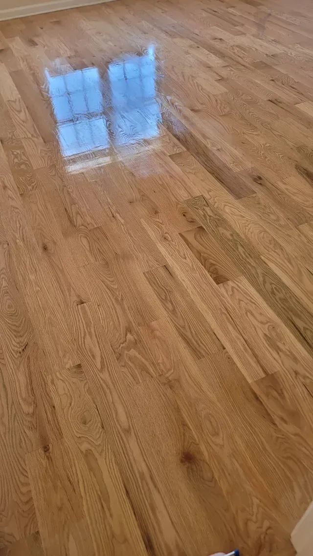 Shiny, refinished hardwood floor reflecting a window, in a well-lit room.