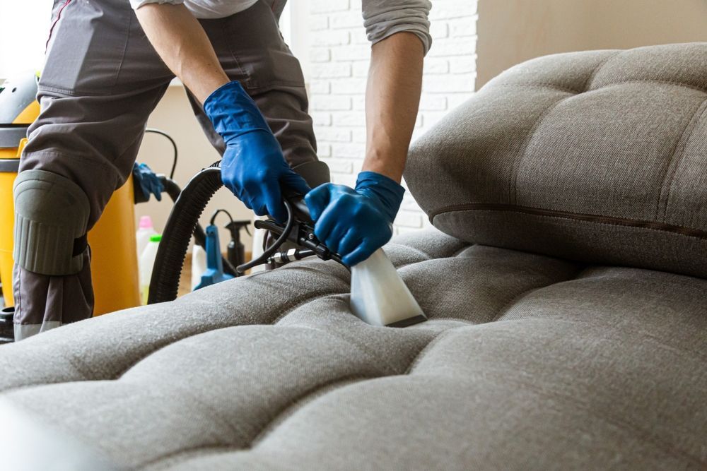 Person in blue gloves cleaning a gray couch with a vacuum cleaner.