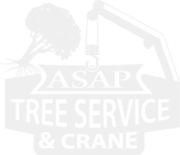 ASAP Tree and Crane Services