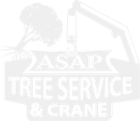ASAP Tree and Crane Services