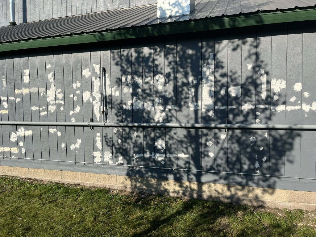 Shadow of tree on a gray wall with peeling paint, next to grass.