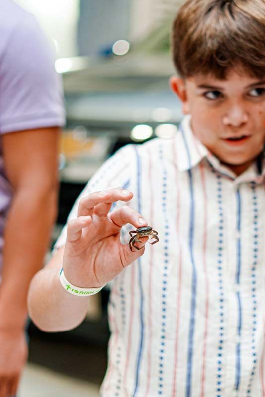 A young boy is holding a small crab in his hand.