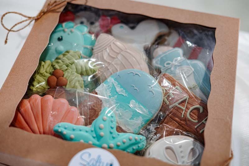A box filled with seashells , dolphins , starfish , and other cookies.