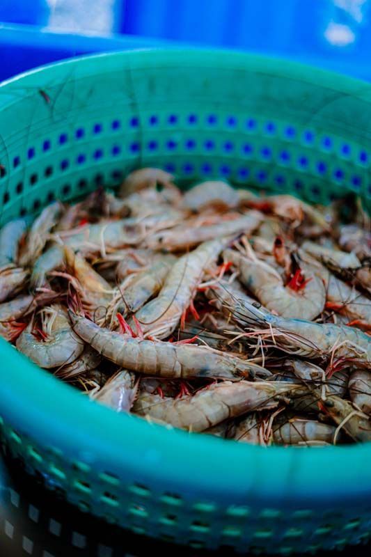 A green basket filled with shrimp is sitting on a table.