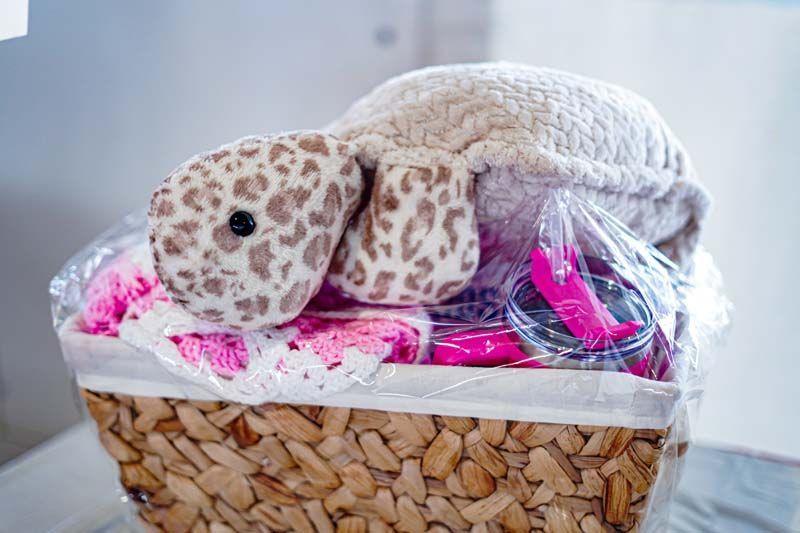 A basket filled with a stuffed animal and a blanket.