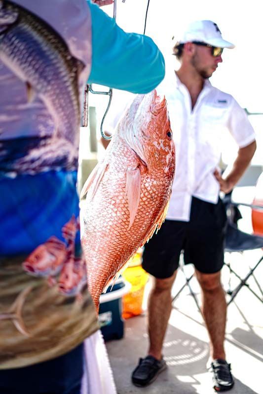 A man in a white shirt is holding a large red fish