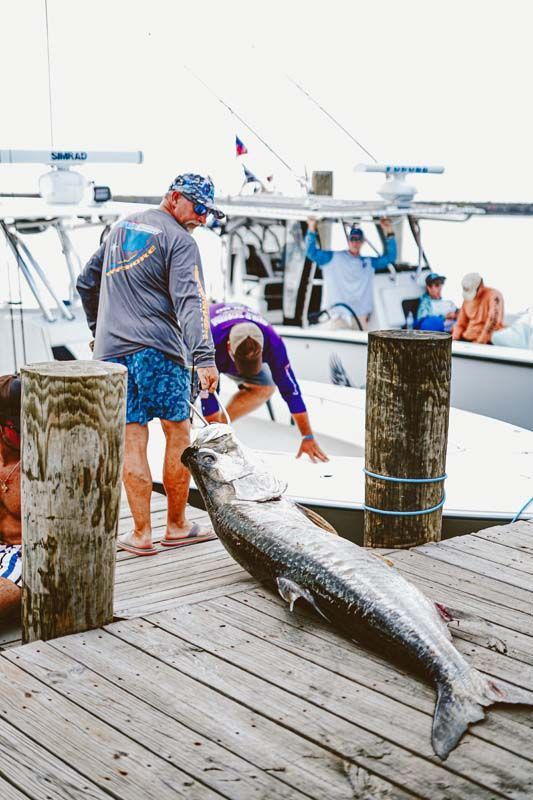 A man is standing next to a large fish on a dock.