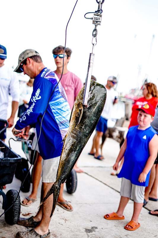 A man in a blue shirt is holding a large fish on a hook