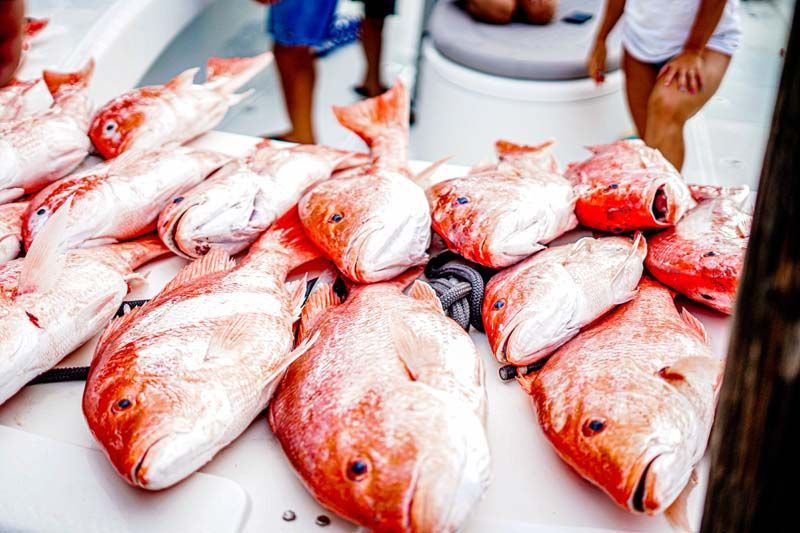 A bunch of red fish are sitting on top of a table.