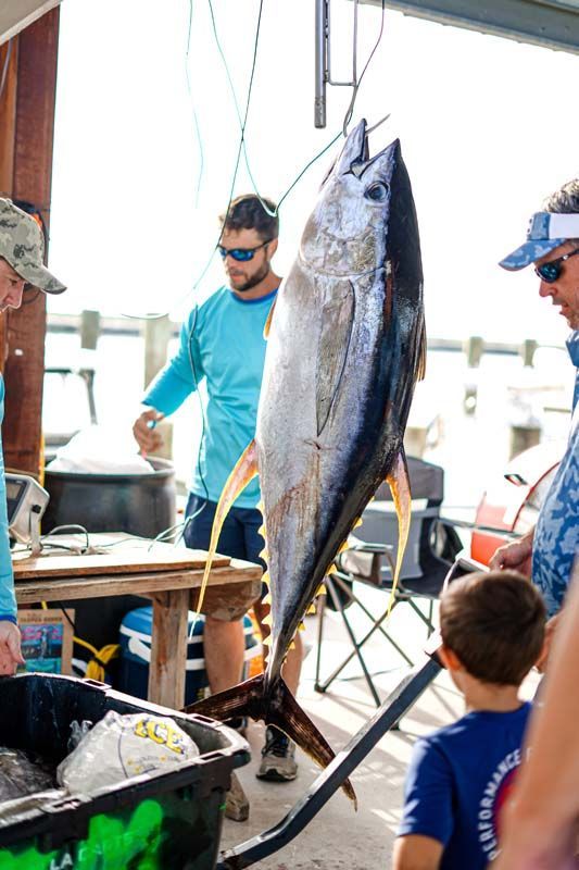 A group of people are standing around a large fish hanging from a hook.