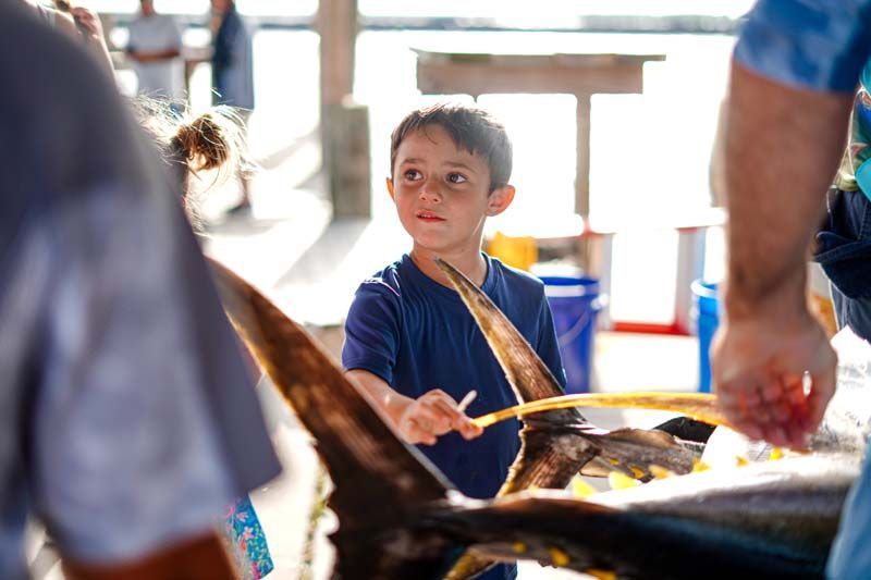 A young boy in a blue shirt is holding a fish tail.