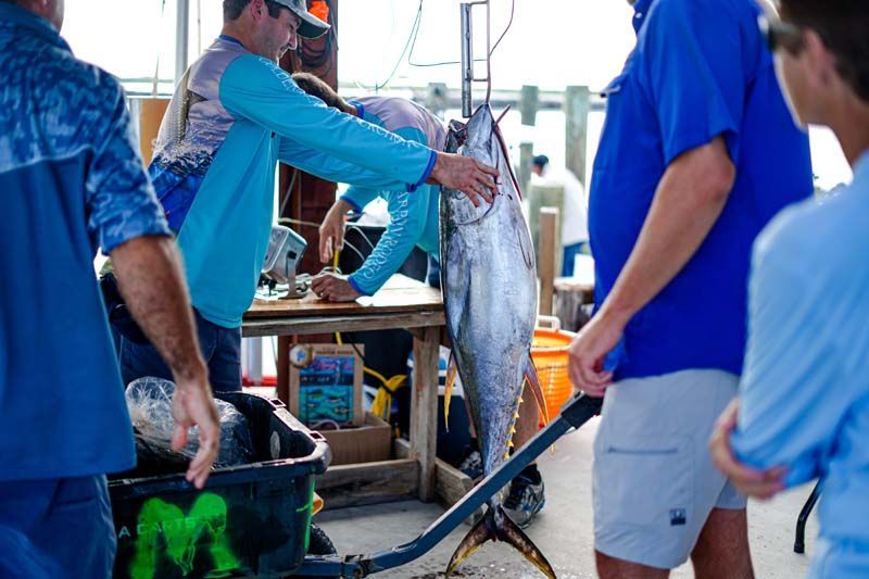 A group of people are standing around a large fish on a table.
