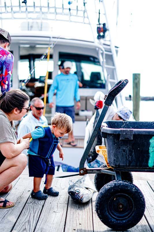 A little boy is standing next to a wheelbarrow on a dock.