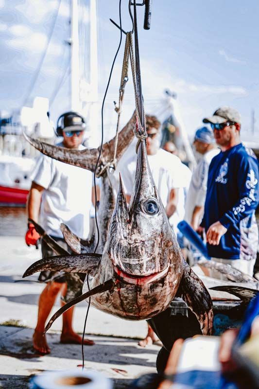 A large fish is hanging from a hook on a dock.