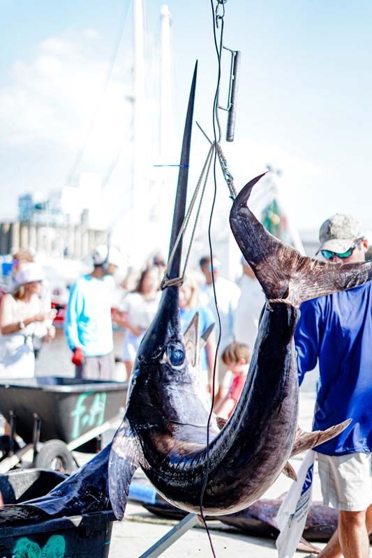 A large fish is hanging from a hook on a dock.